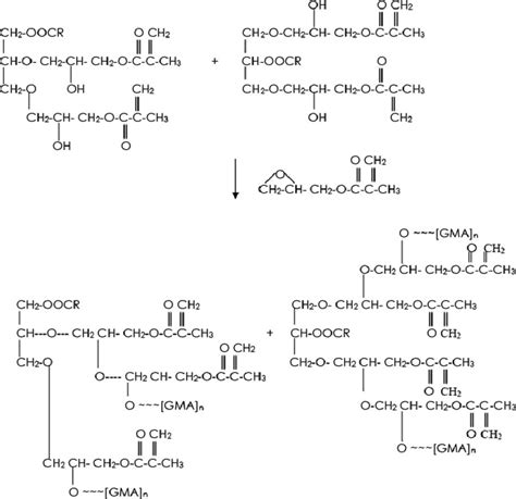 Interaction between GMA and MG-GMA. | Download Scientific Diagram