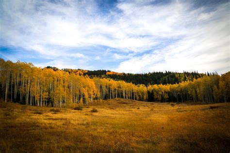 2024 Guide to See Colorado's Best Aspens Fall Colors — Colorado Hikes and Hops