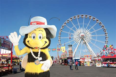 Lake County Fair: Fest offers plenty of old-fashioned fun ...