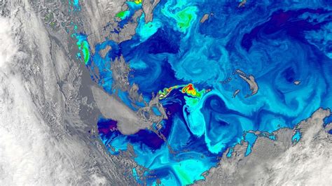 Why Is the Ocean Different Colors in Different Places? | HowStuffWorks