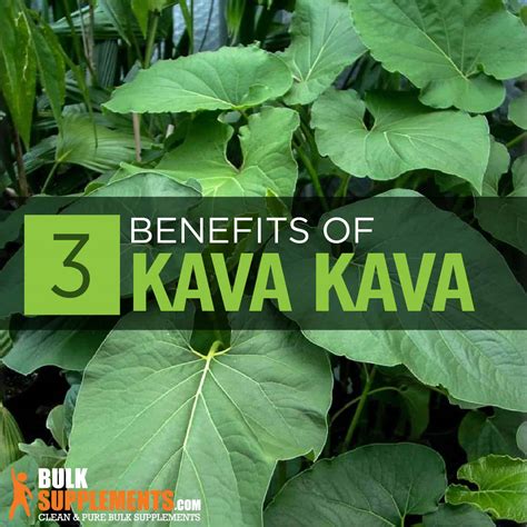 Kava Kava Extract: Benefits, Side Effects & Dosage