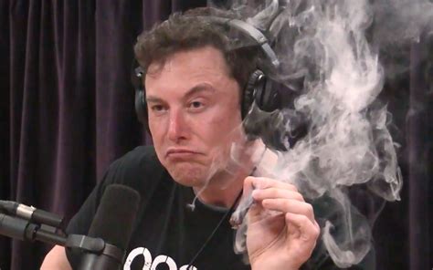 11 Deep Thoughts From Elon Musk’s Talk With Joe Rogan | Leafly