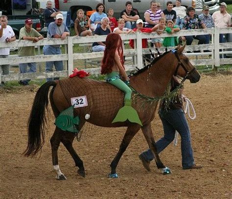 Looks like our mermaid found a sea horse. ;) | Horse costumes, Horse halloween costumes, Pet ...