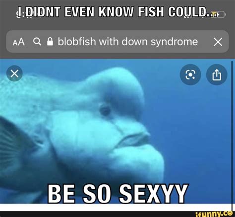 D:DIDNT EVEN KNOW FISH COULD: =, AA Q blobfish with down syndrome X BE ...