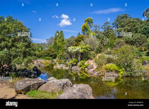 idyllic pond at Blue Mountains Botanic Garden, Mount Tomah, the 128 ...