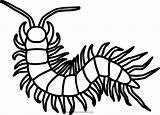 Centipede Coloring Pages Free sketch template