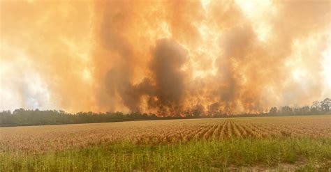 Louisiana’s unprecedented wildfires, briefly explained | Vox