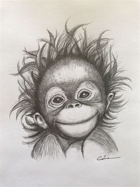 Monkey drawing | Dieren tekenen, Kunst ideeën tekenen, Leer tekenen