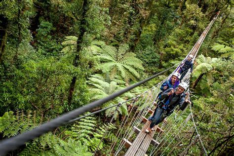 Rotorua Forest Zipline Canopy Adventure Eco Tours