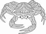 Free CRAB Coloring Pages For Download Printable PDF sketch template