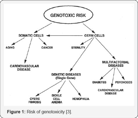 Genotoxicity: Mechanisms, Testing Guidelines and Methods