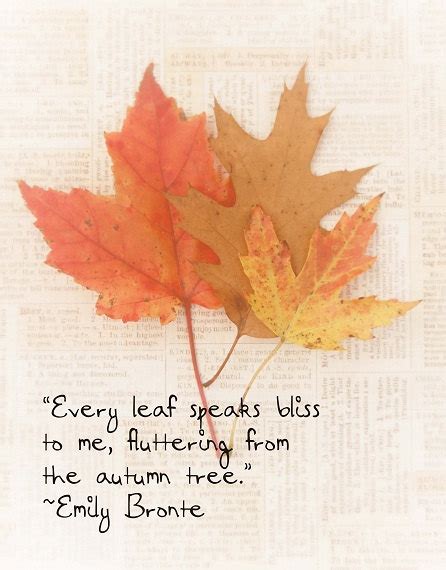 Fall Leaves Quotes. QuotesGram