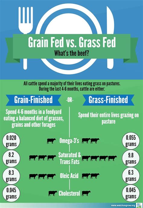 Grass Fed Grain Finished Beef Near Me - Beef Poster