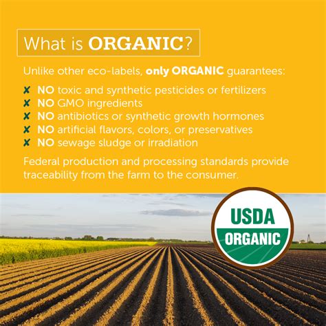 Benefits of Organic Food | Why You Should Eat Organic - Simply Quinoa