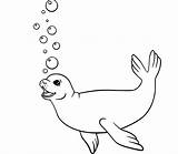 Dibujos De Foca Para Colorear E Imprimir – ColoringLib sketch template