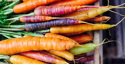 Cinq légumes racines que vous devez connaître | WW Canada