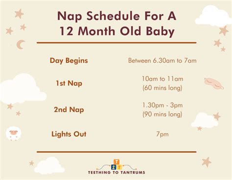 12 Month Old Sleep Schedule: Your Invaluable Guide To Zzz