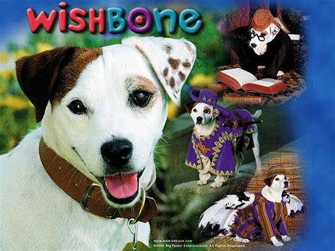 Wishbone (1995) | Movie and TV Wiki | Fandom