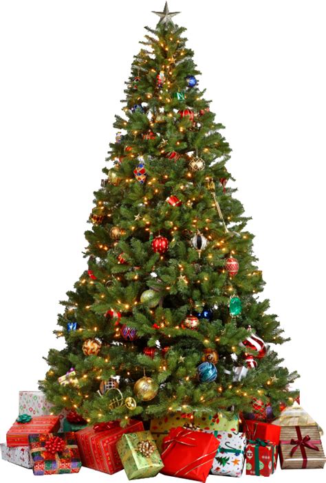 Christmas tree PNG