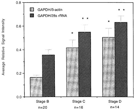 Differential gene expression pattern of GAPDH in pathologic stage B, C ...