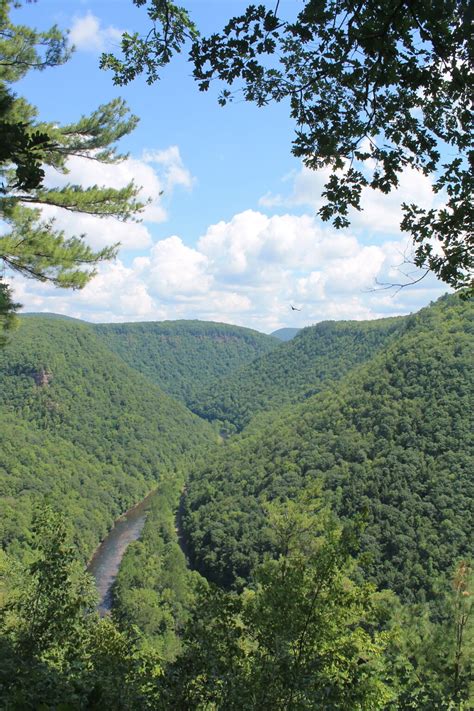 Photo: Looking Into Pine Creek Gorge - Andy Arthur.org