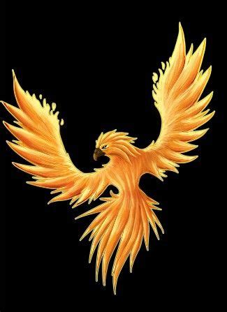 41 best images about Phoenix Firebird on Pinterest | Phoenix bird, Wolves and The grey