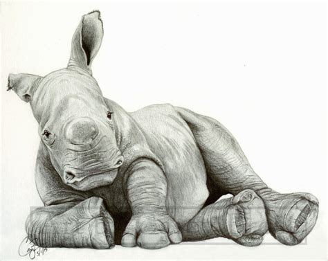 Baby White Rhino by BlueCea on DeviantArt