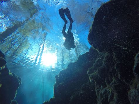 Diving in Ginnie Springs, Florida | Diving, Scuba, Florida