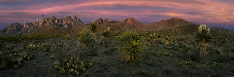 Organ Mountains — Wayne Suggs Photography