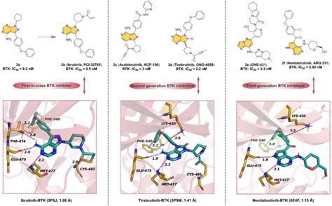 Representative azaindole/oxindole core-containing BTK inhibitor in ...