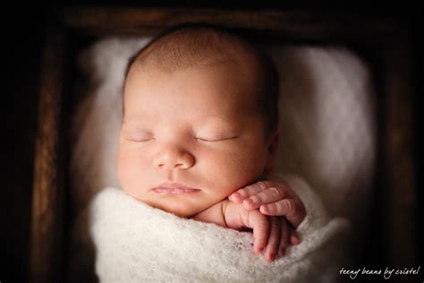 raleigh newborn photographer - sweet baby preston