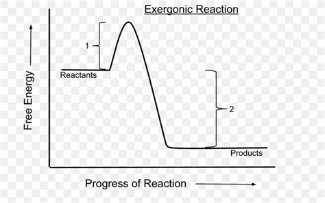 Exergonic Reaction Endergonic Reaction Chemical Reaction Exergonic Process Activation Energy ...