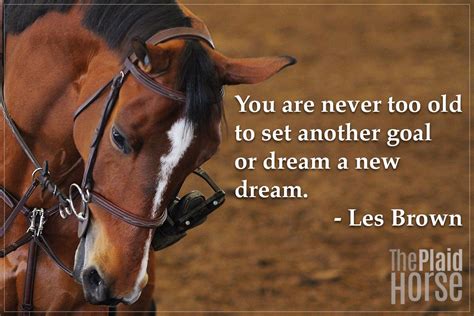 20 Motivational Quotes to Use at the Barn | The Plaid Horse Magazine Equestrian Quotes ...