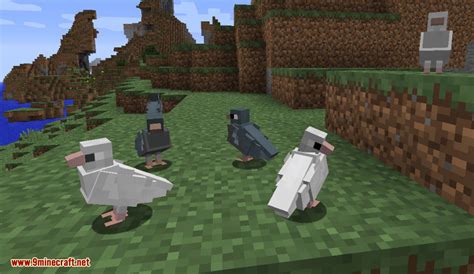 Exotic Birds Mod (1.20.1, 1.19.3) - Birds Take Over Minecraft - 9Minecraft.Net