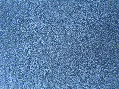 Frost Texture 1 Free Photo Download | FreeImages