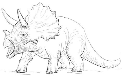 Triceratops Coloring Pages - ColoringPagesOnly.com