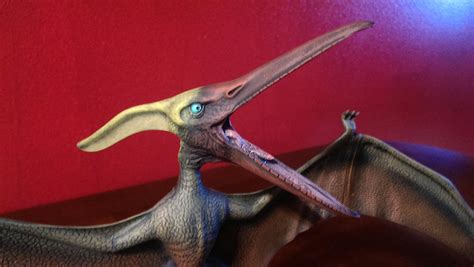 Pteranodon | Prehistoric Scenes