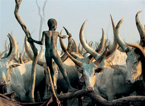 Powerful Photographs Show The Daily Life of The Dinka People Of ...