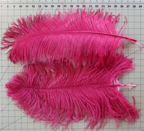 How to choose Ostrich Feathers – …out of a portrait