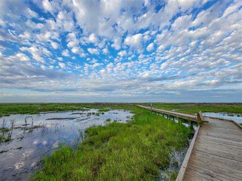 Anahuac National Wildlife Refuge, April 18 & 21, 2023 | Flickr