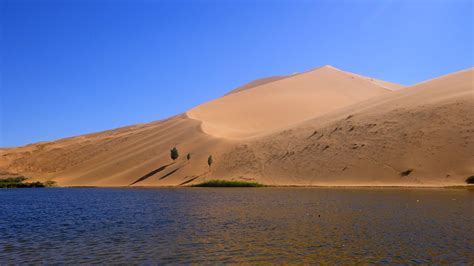 Why Are There Lakes In This Desert? - Environoego. Protect The Planet