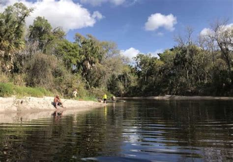 Upper Manatee River in Bradenton: Kayaking the wilder side