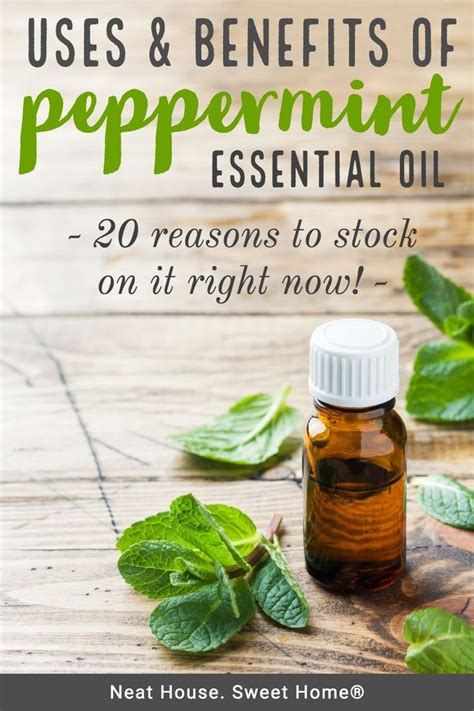 20 Common Peppermint Oil Uses and Benefits | Peppermint oil uses, Peppermint, Natural remedies