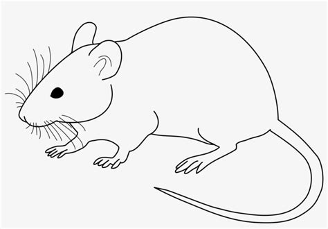 Lab Rat Drawing - Clip Art Rat Black And White - 1024x664 PNG Download - PNGkit