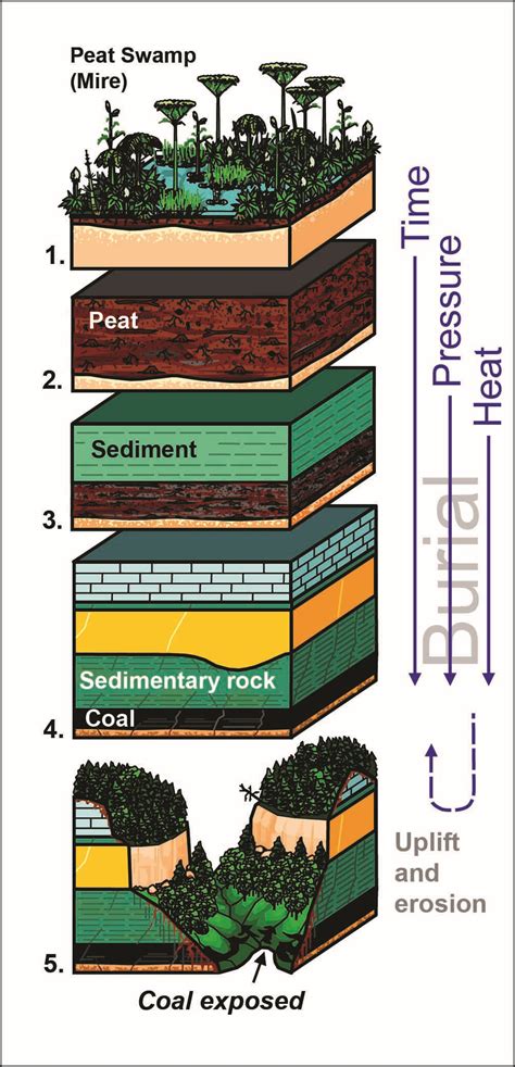 1B: Carbon - It's Elemental