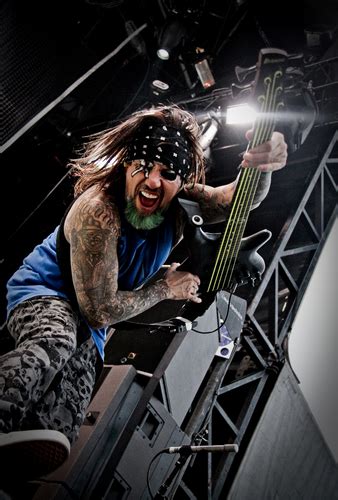 FIELDY - KORN | DR Strings