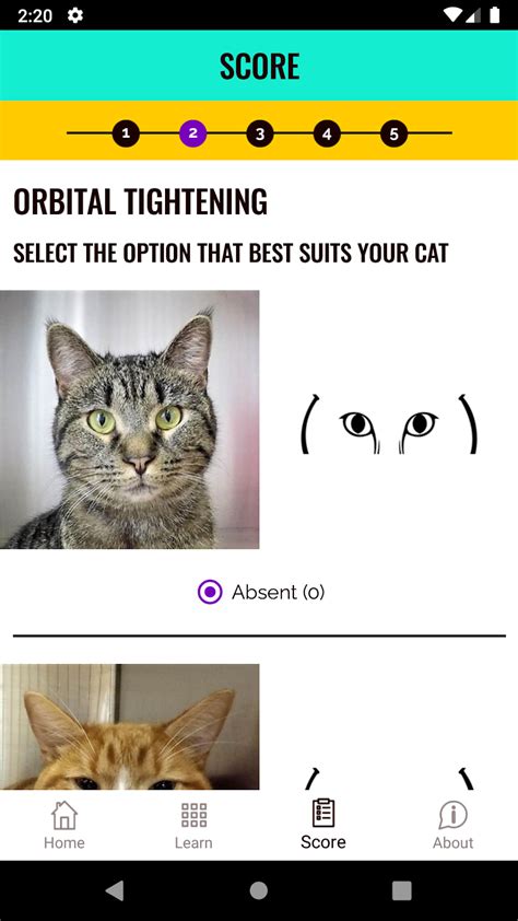 Feline Grimace Scale para Android - Download