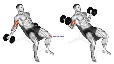 Dumbbell Incline Inner Biceps Curl - Home Gym Review