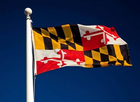 Maryland State Flag. Colorful flag of the State of Maryland flying ...