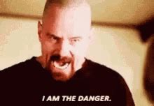 Walter White I Am The Danger GIF - Walter White I Am The Danger ...